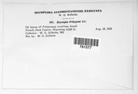 Image Associated With the Occurence